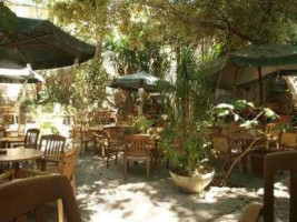 Apollo Garden Cafe inside