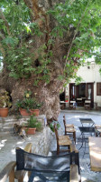 Λουλάκης Cafe inside