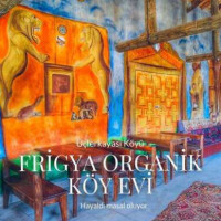 Frigya Organik Koy Evi food