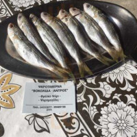 Vokolida Antros Fish Tavern food
