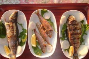 Ayışığı Balık Restoranı food