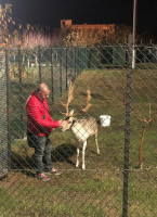 Bujtina Artur outside