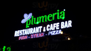 Plumeria food
