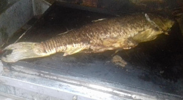 Fish Tivoli Kavadarci food