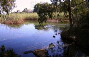 Naiades Almiros River food