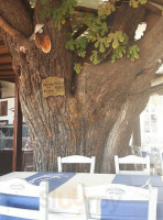 Mirivili's Mulberry Scamnia Cafe inside