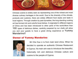 Yummy Mandarino Chinese menu