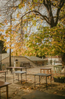 Platanus Orientalis inside