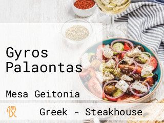 Gyros Palaontas