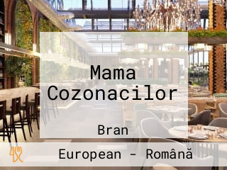 Mama Cozonacilor