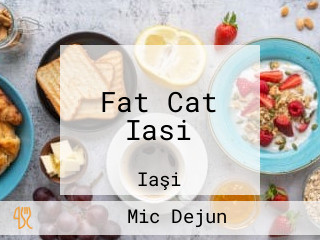 Fat Cat Iasi