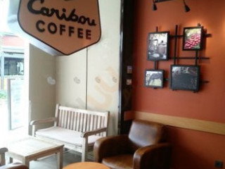 Caribou Coffee