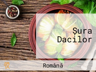 Șura Dacilor