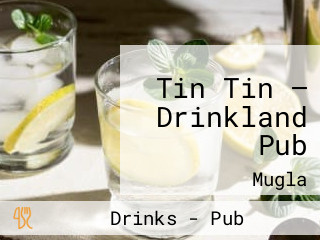 Tin Tin — Drinkland Pub