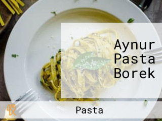 Aynur Pasta Borek