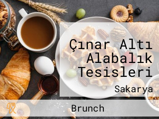 Çınar Altı Alabalık Tesisleri