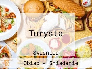 Turysta