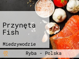 Przynęta Fish