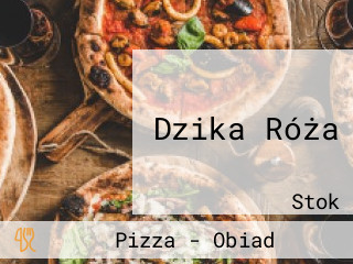 Dzika Róża