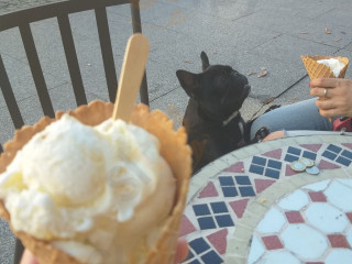 Bosko Radom Lody Produkcji Własnej