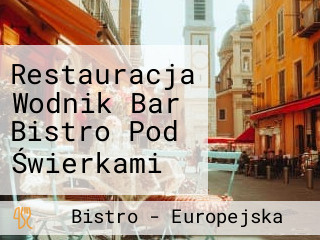 Restauracja Wodnik Bar Bistro Pod Świerkami