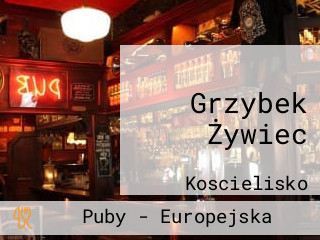 Grzybek Żywiec