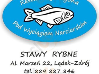 Rybna Pod Wyciągiem Narciarskim