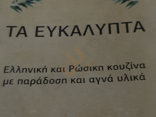 Τα Ευκάλυπτα