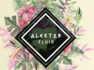 Alektor Fluid Lounge