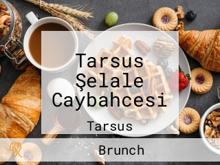 Tarsus Şelale Caybahcesi