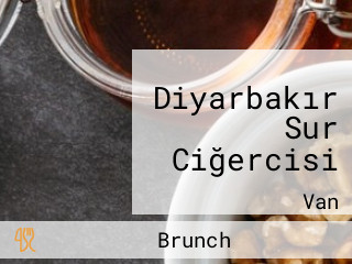 Diyarbakır Sur Ciğercisi