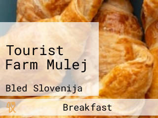 Tourist Farm Mulej