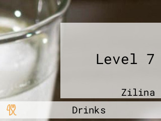 Level 7