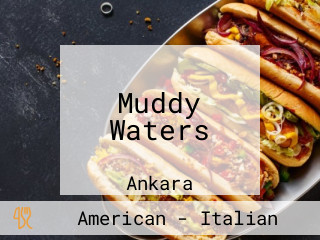 Muddy Waters
