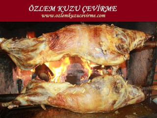 Özlem Kuzu Çevirme