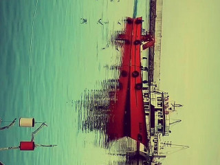 Lezzet Balık