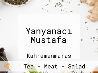 Yanyanacı Mustafa