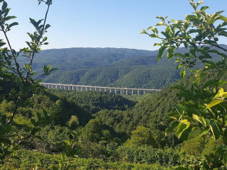 Ferdanın Yeri