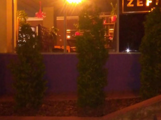Zefir Cafe-bar (restaurant)